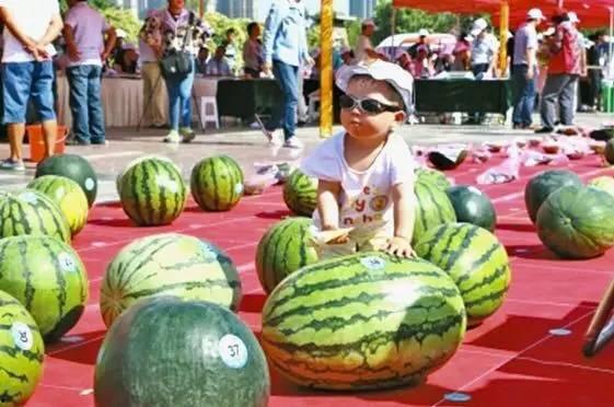 吃瓜大赛,吃瓜大赛精彩瞬间大盘点